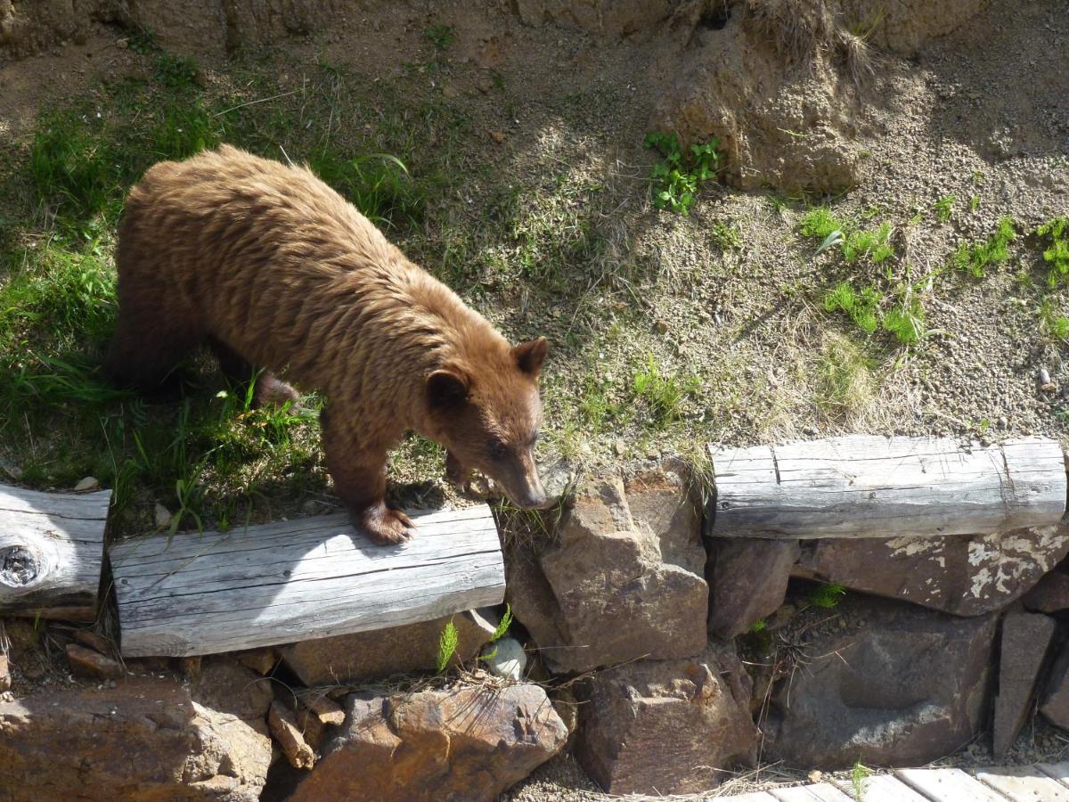 Little Black Bear Lodge/B&B Bridge Lake Buitenkant foto