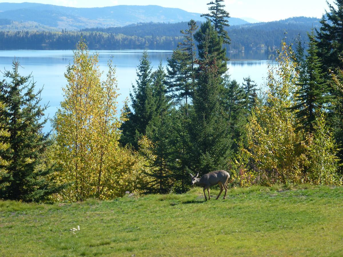Little Black Bear Lodge/B&B Bridge Lake Buitenkant foto