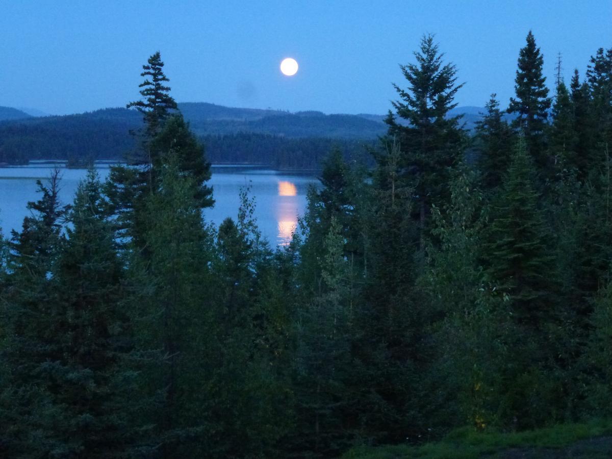 Little Black Bear Lodge/B&B Bridge Lake Buitenkant foto