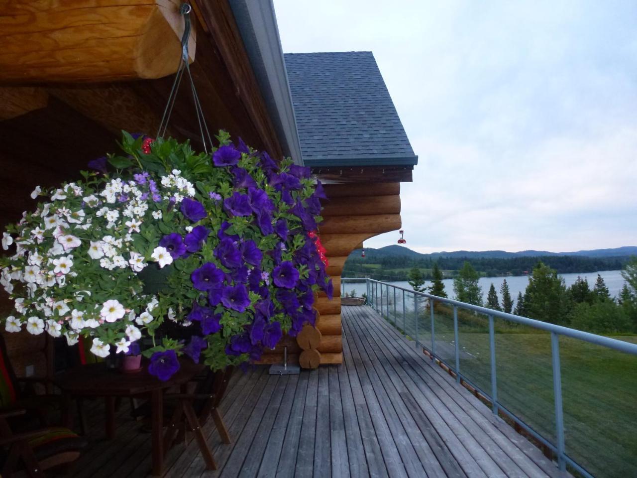 Little Black Bear Lodge/B&B Bridge Lake Buitenkant foto