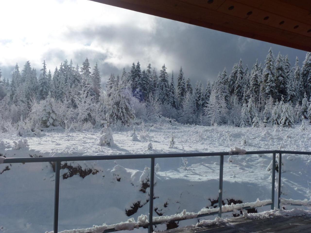 Little Black Bear Lodge/B&B Bridge Lake Buitenkant foto