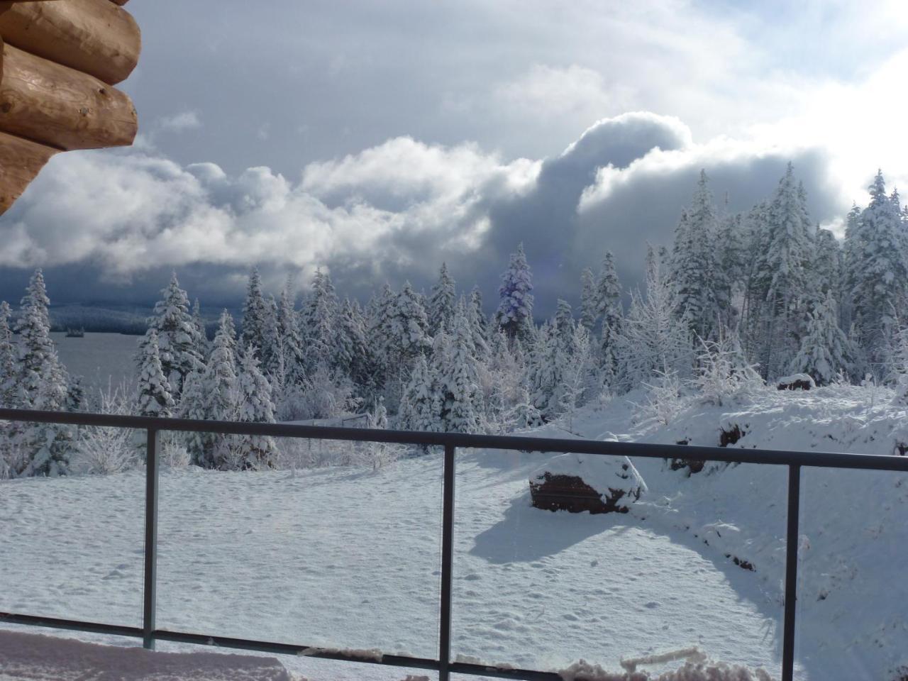 Little Black Bear Lodge/B&B Bridge Lake Buitenkant foto