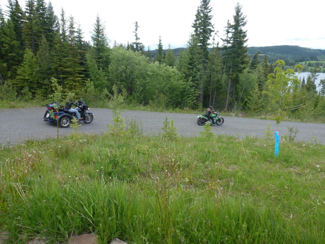 Little Black Bear Lodge/B&B Bridge Lake Buitenkant foto