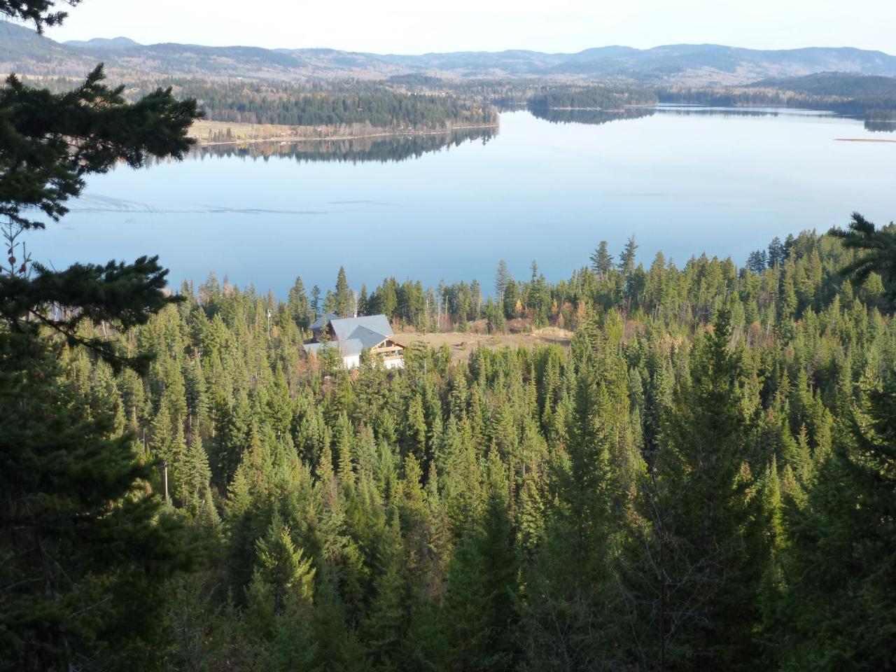 Little Black Bear Lodge/B&B Bridge Lake Buitenkant foto